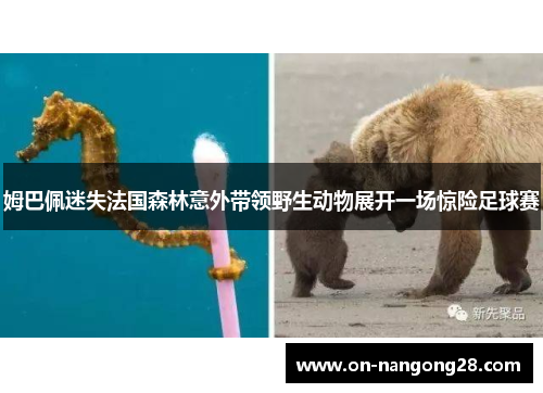 姆巴佩迷失法国森林意外带领野生动物展开一场惊险足球赛