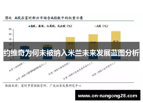 约维奇为何未被纳入米兰未来发展蓝图分析